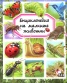 Енциклопедия на малките животни