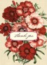 Botanical Thank You Cards