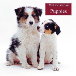 Calendar 2018: Puppies
