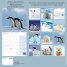 Calendar 2018: Penguins