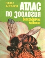 Атлас по зоология: Безгръбначни животни