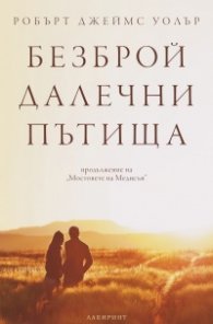 Безброй далечни пътища