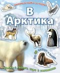 В Арктика/ Занимателна книжка със стикери