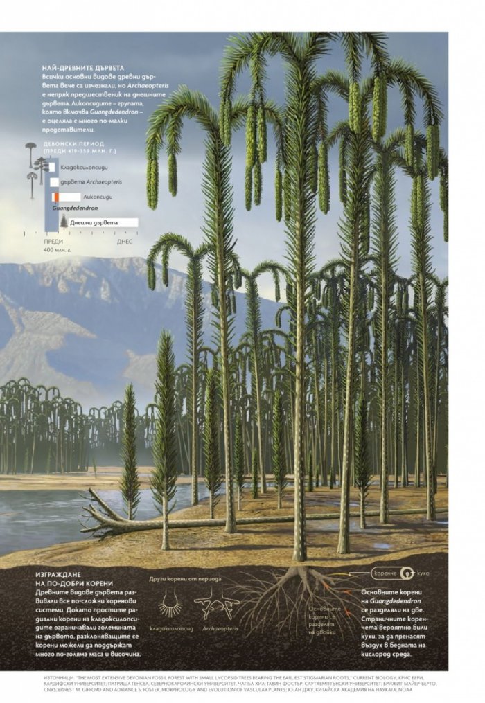 National Geographic България Май/2022