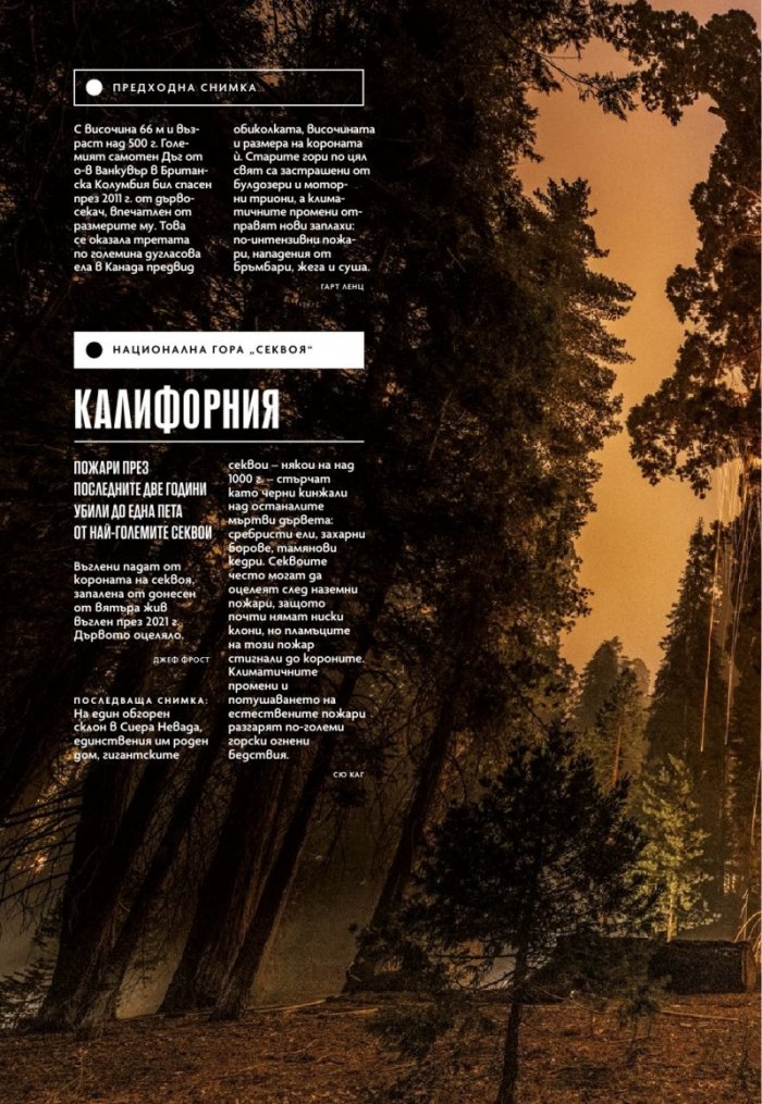 National Geographic България Май/2022