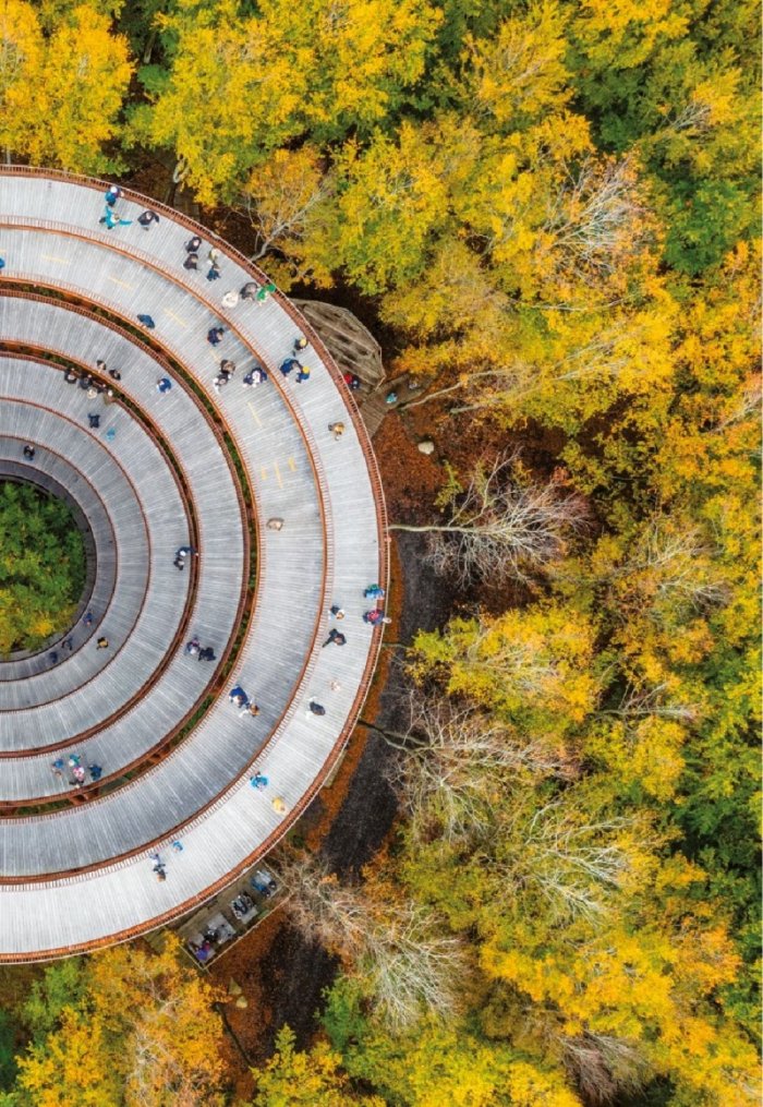 National Geographic България Май/2022