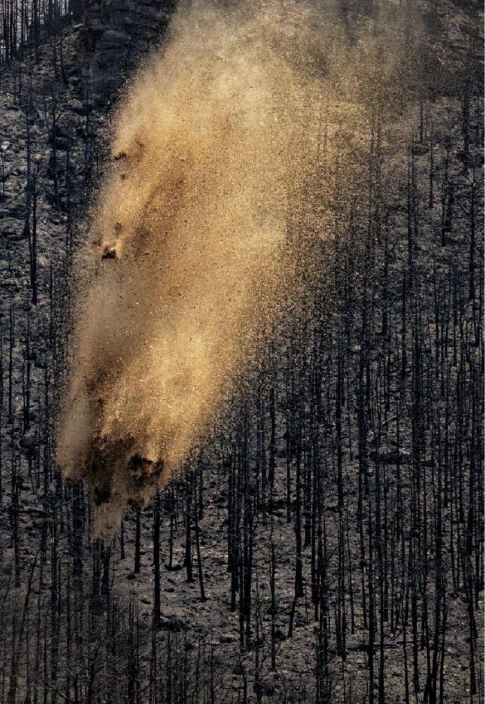 National Geographic България Май/2022
