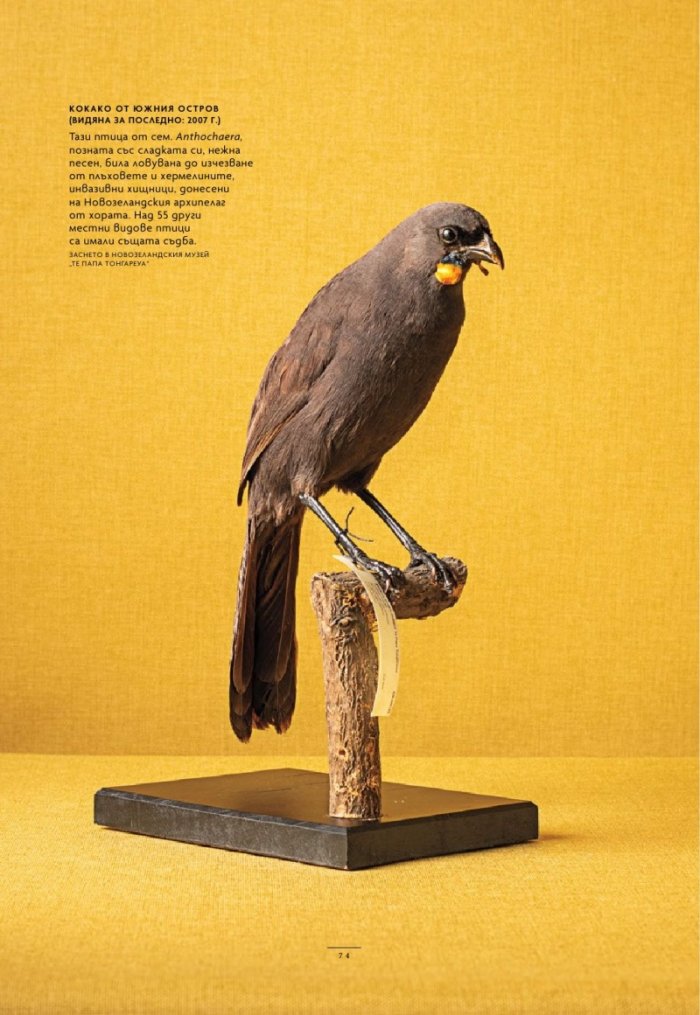 National Geographic България Март/2025