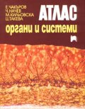 Атлас - органи и системи