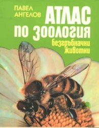 Атлас по зоология - Безгръбначни животни