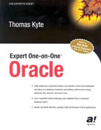 Expert One on One Oracle