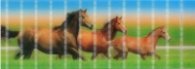 Разделител за книга Foal and Horses Bookmark [0733]