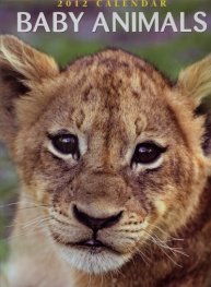 Calendar 2012: Baby Animals