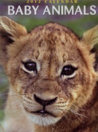 Calendar 2012: Baby Animals