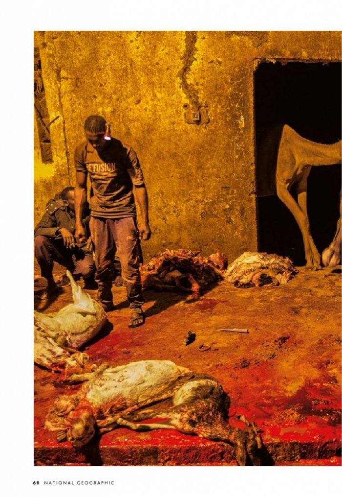 National Geographic България 7/2019