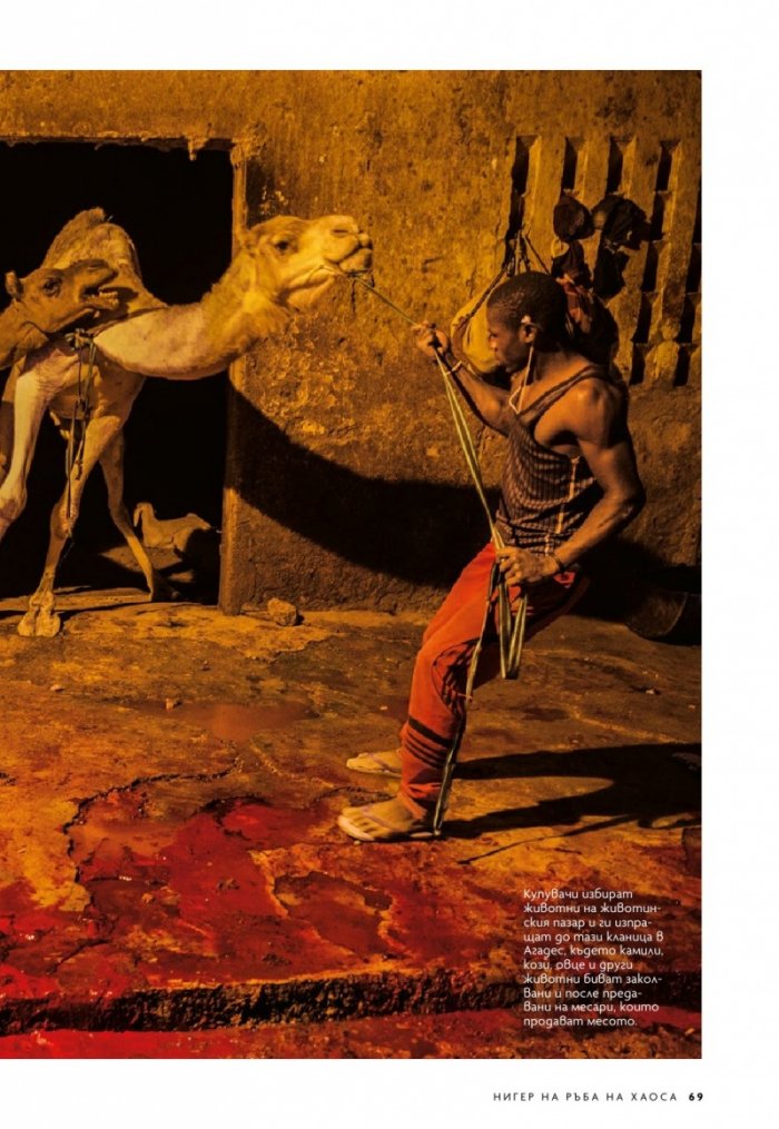 National Geographic България 7/2019