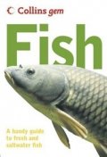 Gem: Fish