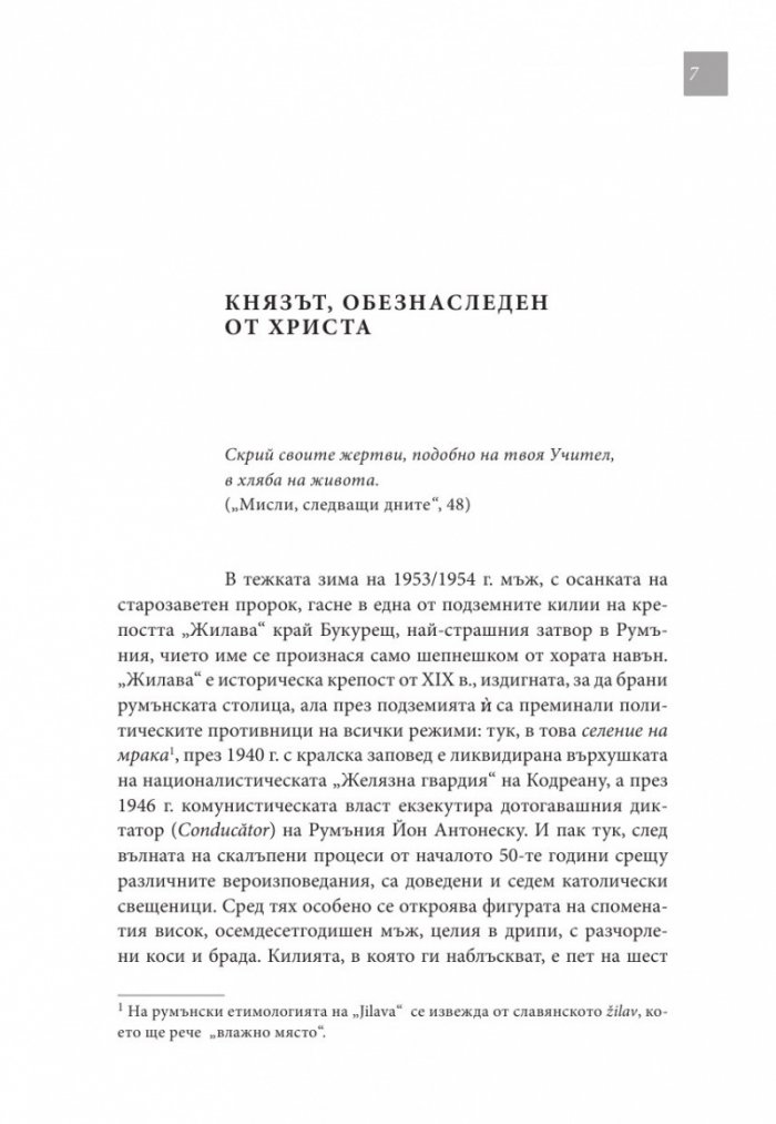 Мисли, следващи дните