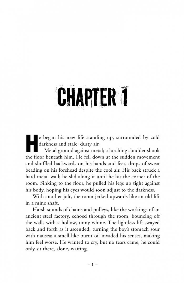 The Maze Runner