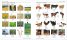 Korean English Bilingual Visual Dictionary