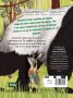 Къде е мечето? Образователна книга-игра