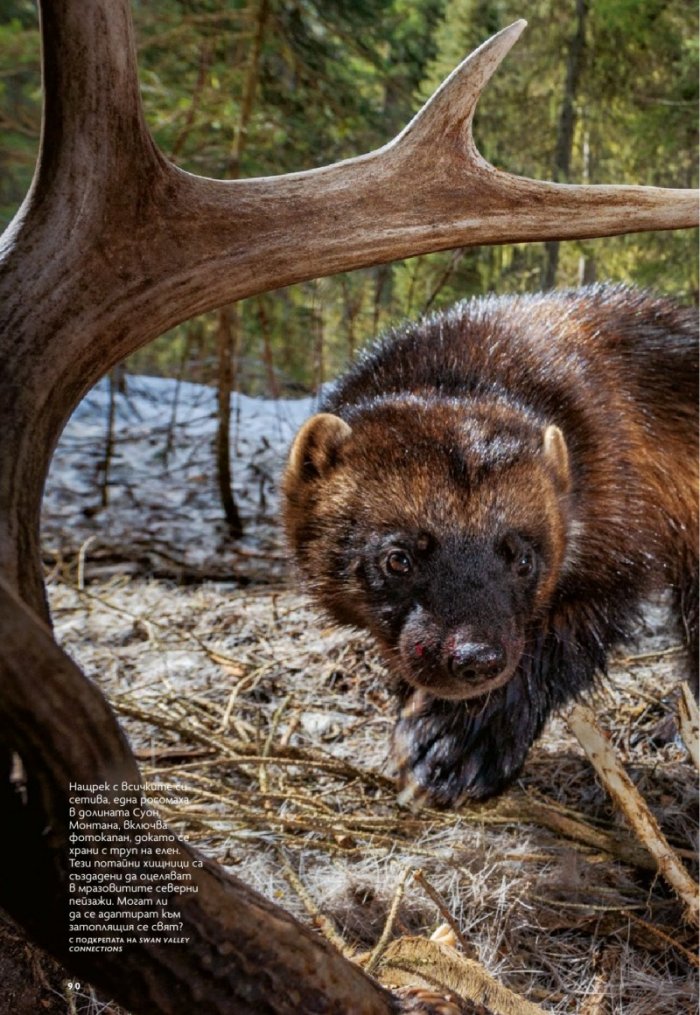National Geographic България 9/2019