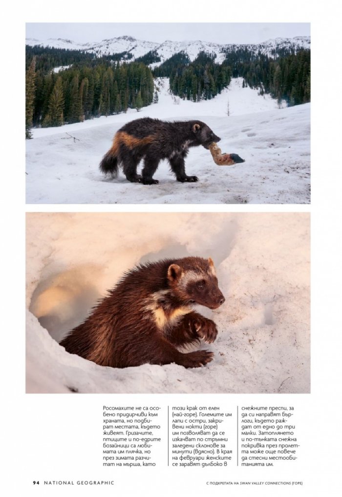 National Geographic България 9/2019