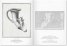The Complete Collection of Antiquities
