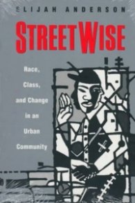 Streetwise  -  Race, Class, and Change in an Urban Community