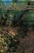 Традиционни обичаи, празници на селища и популяризиране на културно-исторически обекти от миналото в регион "Предбалкана"