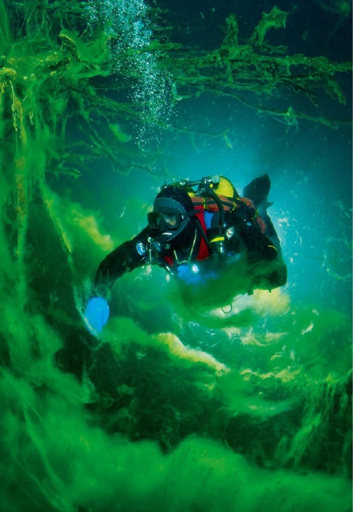 National Geographic България 05/2016