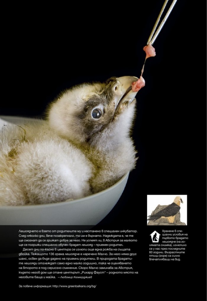 National Geographic България 05/2016