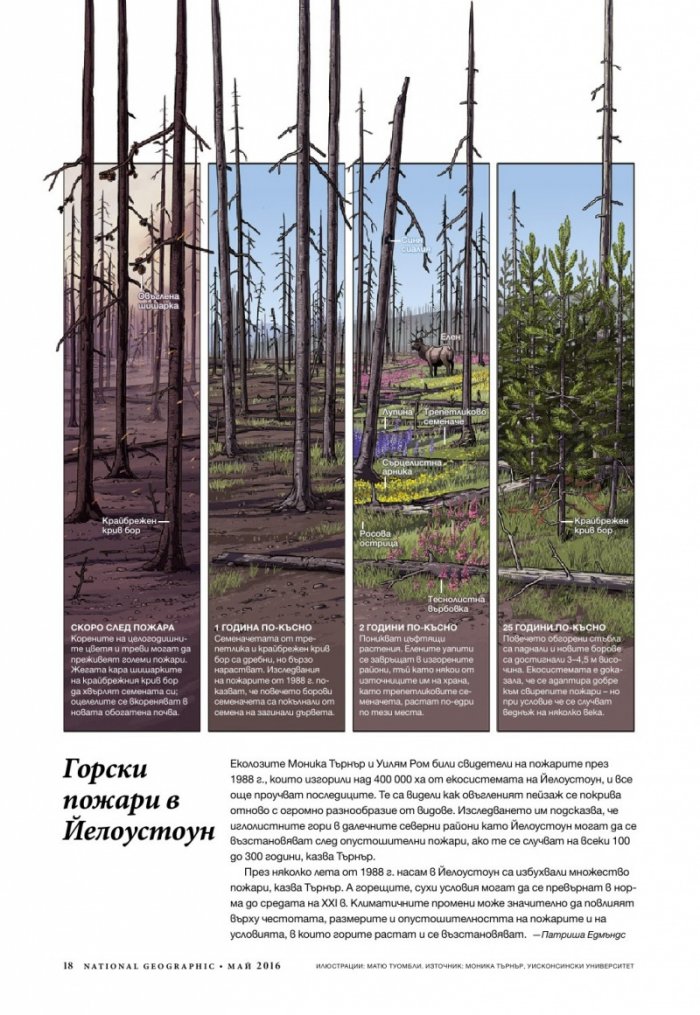 National Geographic България 05/2016