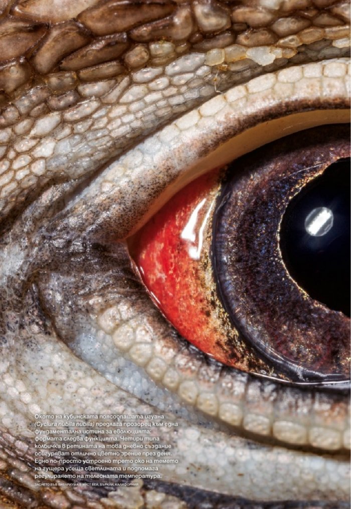 National Geographic България 05/2016