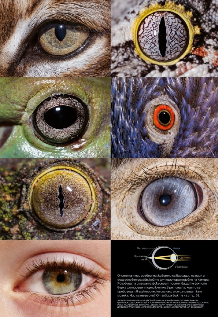 National Geographic България 05/2016