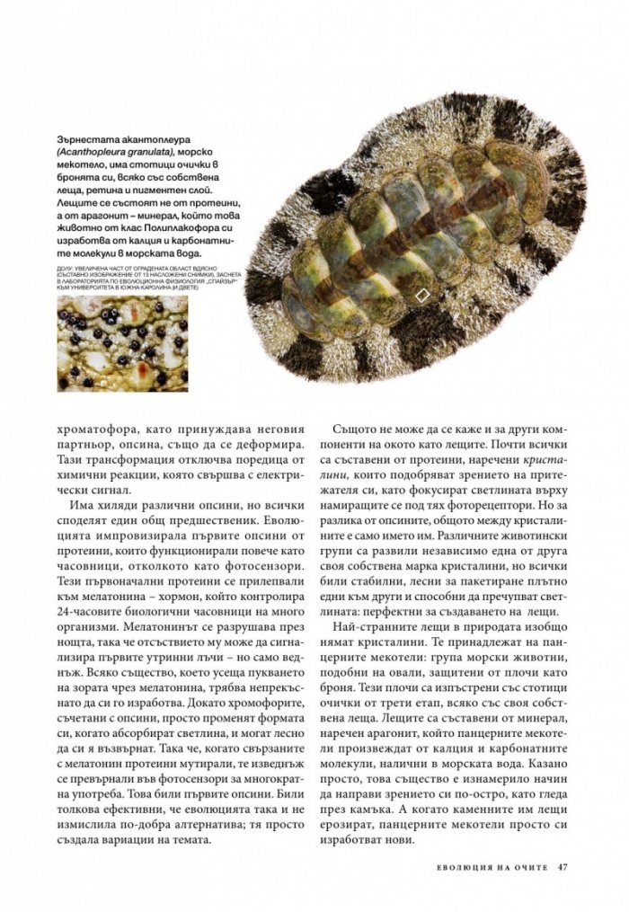 National Geographic България 05/2016