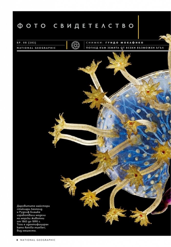 National Geographic България Август/2022