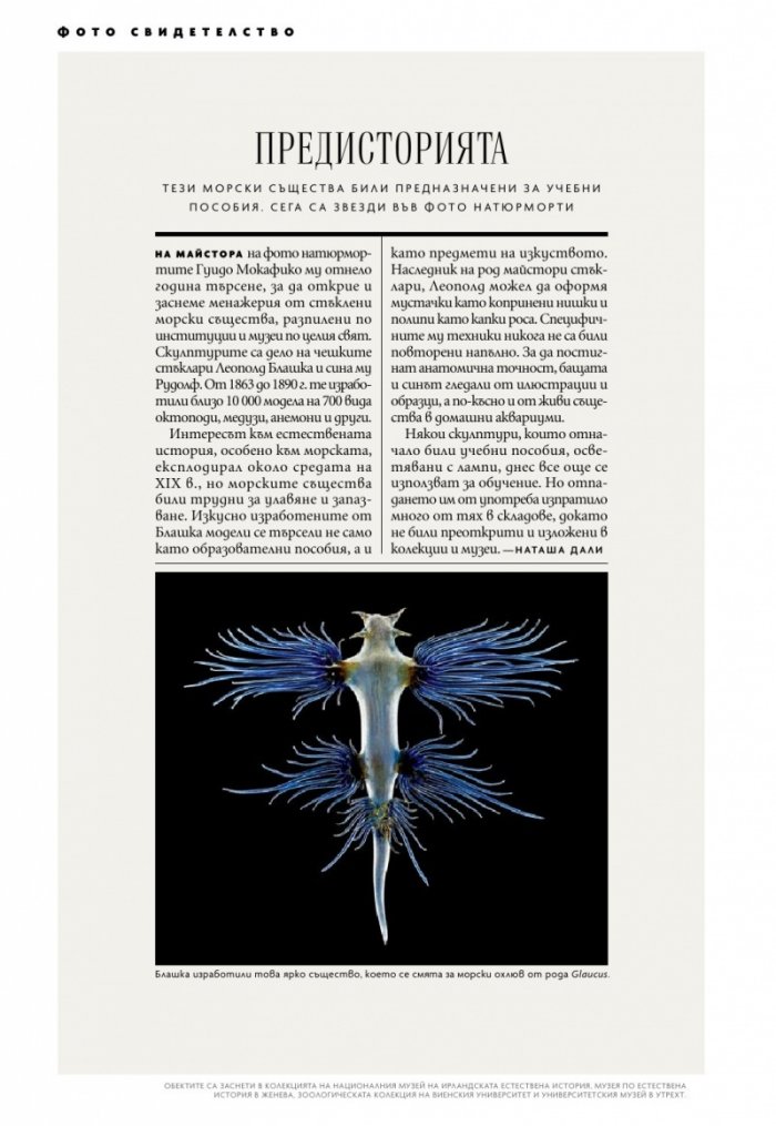 National Geographic България Август/2022