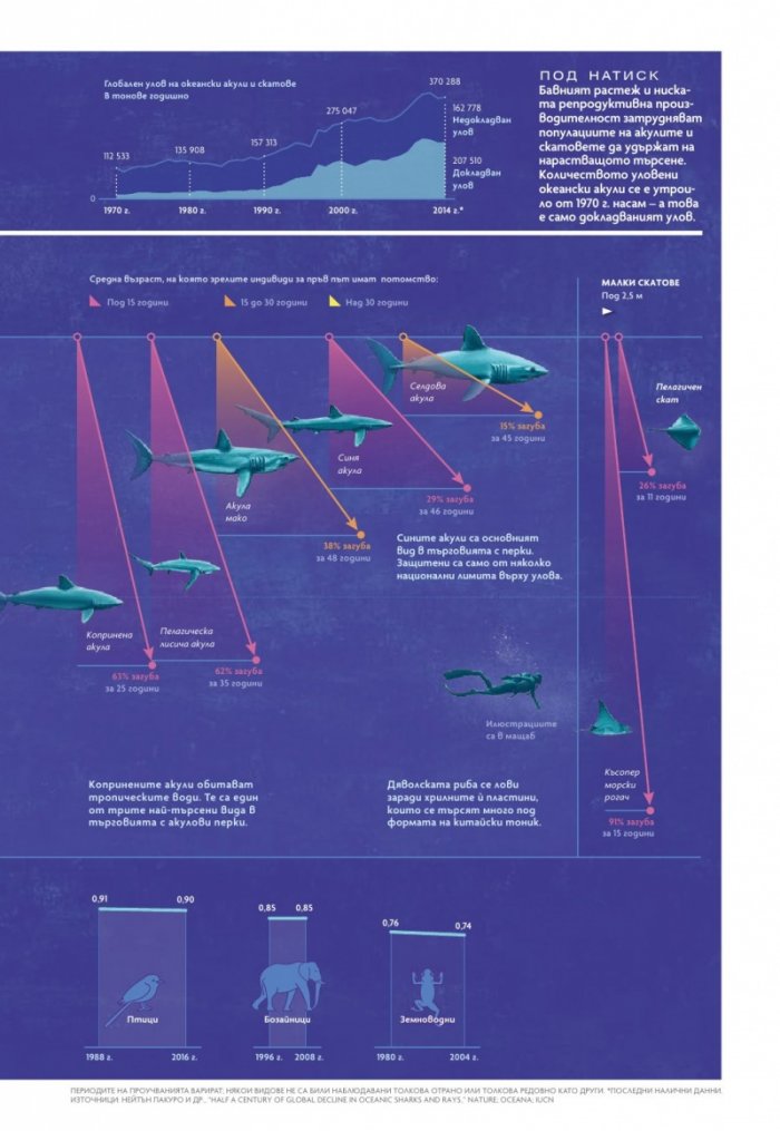 National Geographic България Август/2022