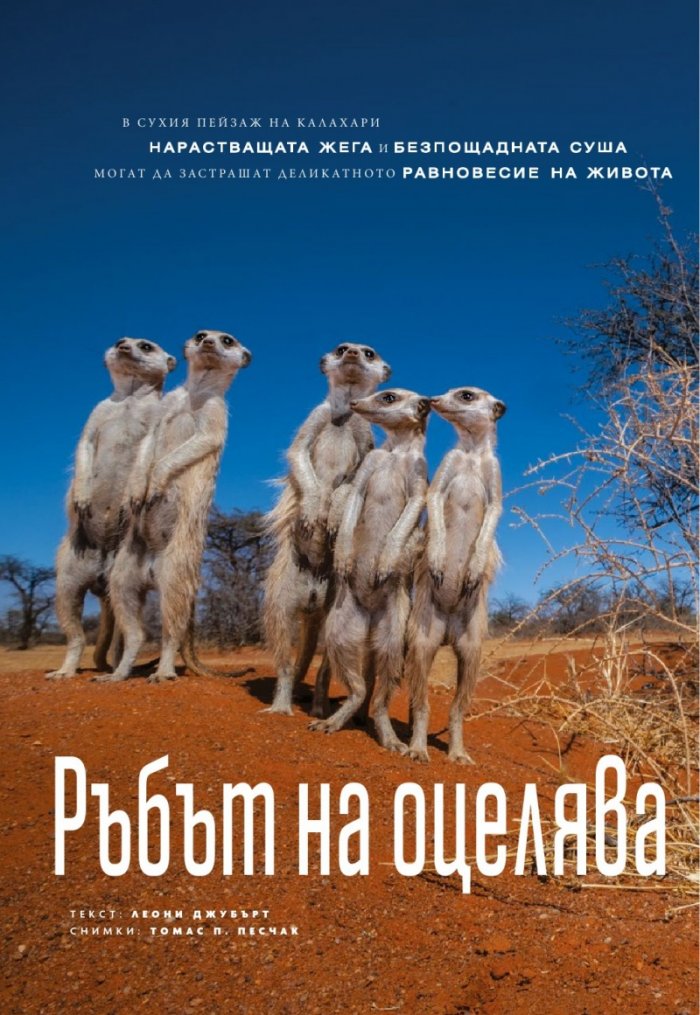 National Geographic България Август/2022
