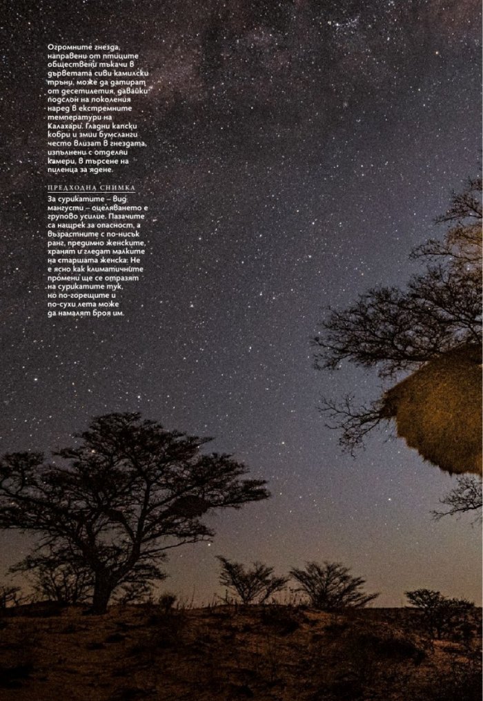 National Geographic България Август/2022