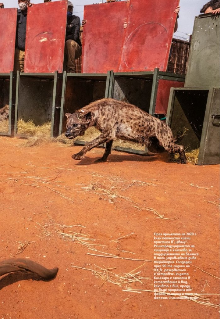 National Geographic България Август/2022
