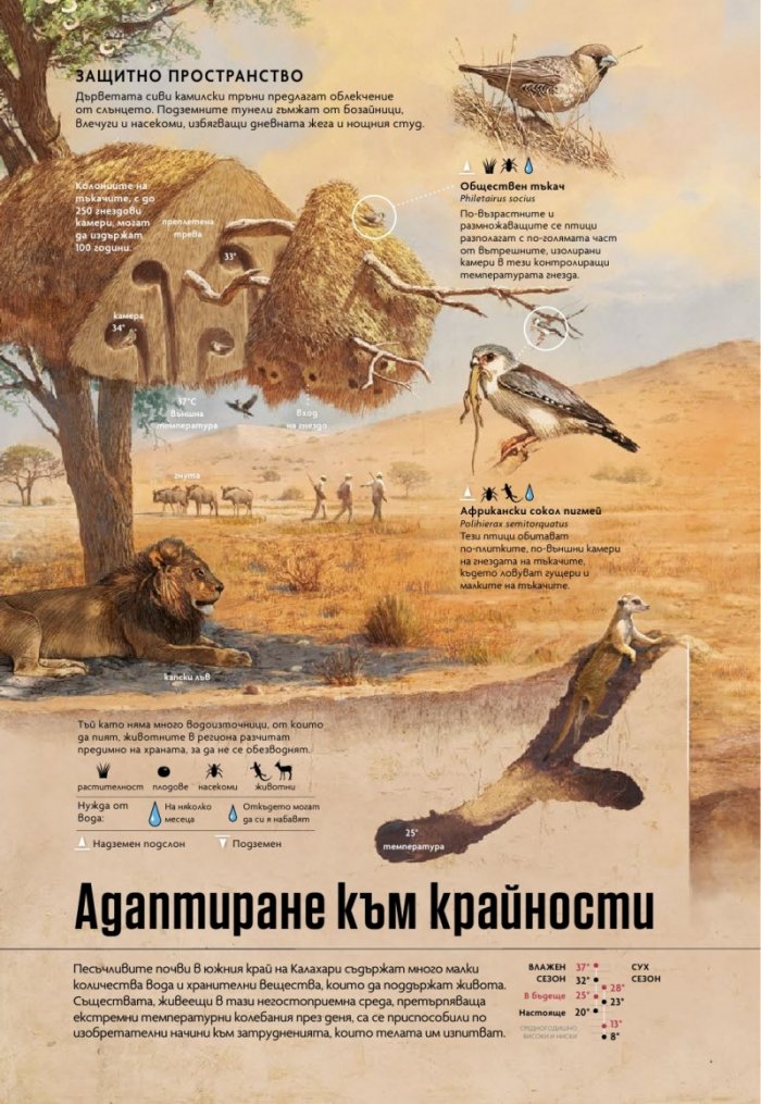 National Geographic България Август/2022