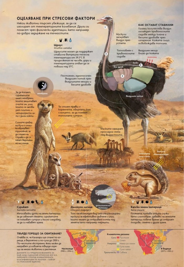 National Geographic България Август/2022