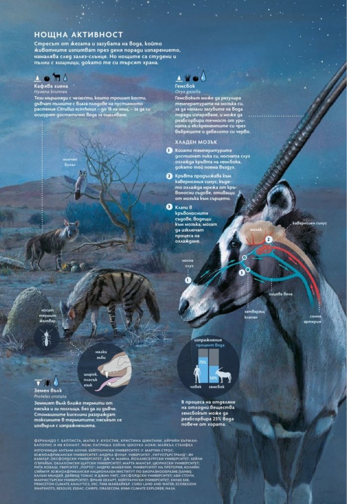 National Geographic България Август/2022