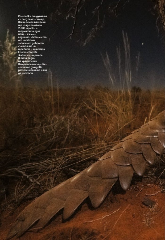 National Geographic България Август/2022
