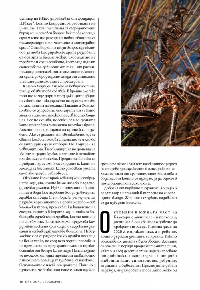 National Geographic България Август/2022