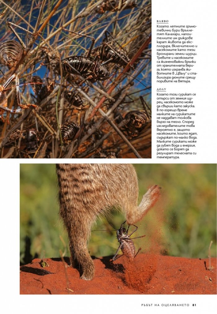 National Geographic България Август/2022