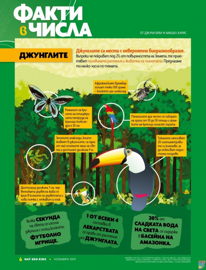 National Geographic KIDS България 11/2019