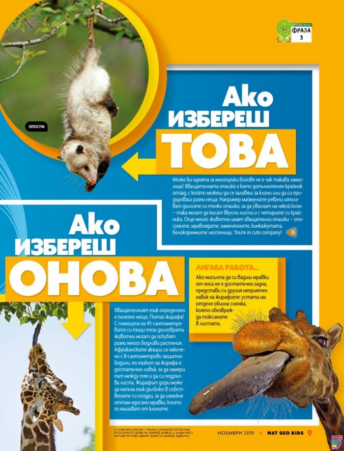 National Geographic KIDS България 11/2019
